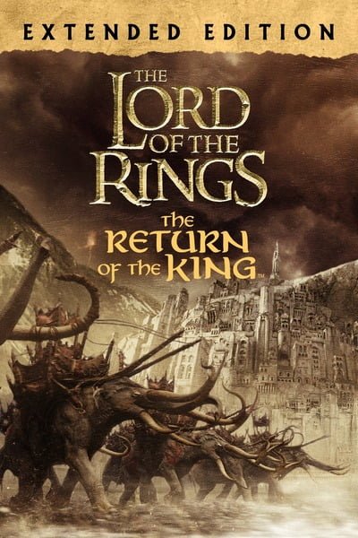 The Lord of the Rings (2003) Hindi Dubbed BRRip 720p 480p